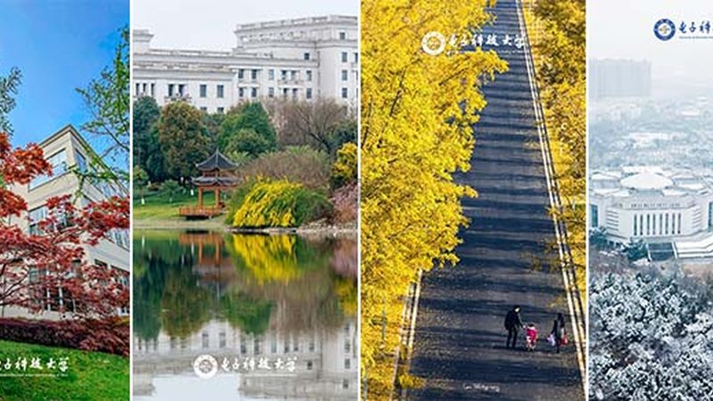 三极管型号揭秘：上海代理市场的全解析**